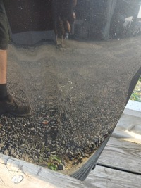 фото thumb №8, Audi a3 8p рестайлінг 08- капот кришка двигуна чорна lz9y