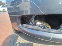 фото thumb №9, Комплектный перед бампер капот фара крыло ксенон skoda superb ii 9153