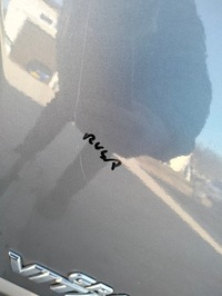 фото thumb №10, Кришка багажника suzuki grand vitara ii 3d роки 2005-2014 колір zdl