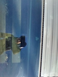 фото thumb №5, Land rover range rover l322 рестайлинг vogue 1727062c люк