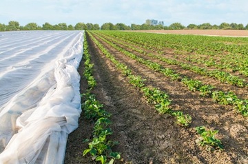 Agrowłóknina Biała Zimowa Jesienna Wytrzymała Ekologiczna 3,2x5m 50 g