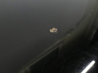 фото thumb №10, Капот кришка двигуна audi a3 8p lift 08r- ly9b