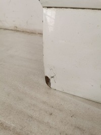 фото thumb №6, Двері передні праві partner berlingo