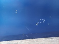 фото thumb №11, Двері bmw 4 i4 g26 gran coupe pzrzednie ліва