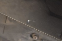 фото thumb №7, Кришка зад задня audi q7 4l 07r