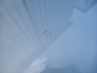 фото thumb №6, Капот fiat doblo ii колір 612 10-15 оригінал #####