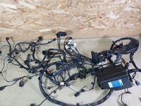 фото thumb №10, Hyundai i20 i 1.2 джгут двигуна g4la 08-12