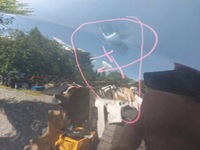 фото thumb №10, Bmw 5 g30 g31 17- капот крышка двигателя