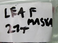 фото thumb №6, Leaf ii ze1 21r датчик замка капот відкривання мікровимикач