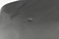 фото thumb №16, Подлокотник audi a4 b8 a5 8k0864283 каркас