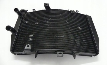 Полем Триумф скорость тройной 1050 11 + CH0 Cooler