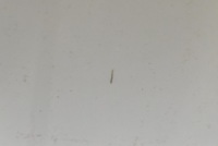 Купити Дверей праве  перед передні ls9r vw id3 id.3 19-21, фото thumb