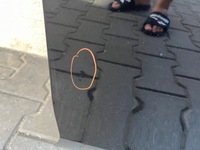 фото thumb №7, Дверь правое передние правый перед skoda octavia iv 4 5e3