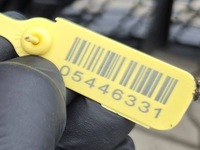 фото thumb №13, Bmw m4 g82 g83 m3 g80 g81 перед бампер переднее 475