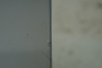 фото thumb №9, Крыло левый перед opel movano