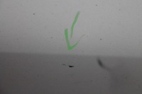 фото thumb №4, Дверь левый перед renault laguna iii ted69 07-13