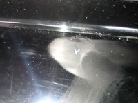 фото thumb №7, Audi q3 8u дисплей екран навігації 8u0857273e європа