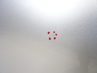 фото thumb №8, Skoda octavia 4 iv універсал двері лівий перед 2022r комплектні la7w універсал