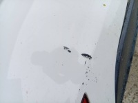 фото thumb №14, Бампер задний volkswagen golf vi
