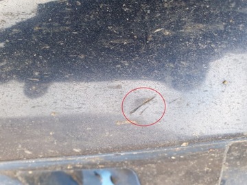 фото thumb №5, Mercedes gle w167 amg накладка планка порогова