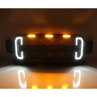 фото thumb №10, Решітка радіатора решітка радіатор ford f150 2018-2020 led drl