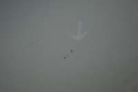 фото thumb №10, Двері лівий перед bmw 3 e90 e91 lift alpinweiss