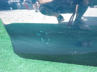 фото thumb №6, Opel astra v k универсал дверь левая задние зад