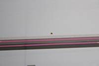 фото thumb №9, Honda jazz ii 01r- дверь правое передние правый перед b528m