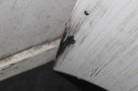 фото thumb №6, Бампер задняя mercedes cla 200 c117 650