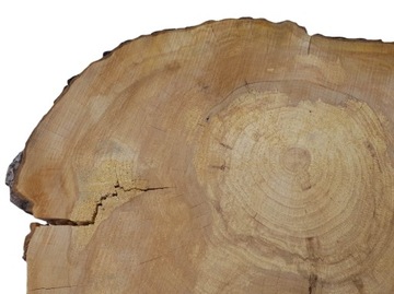 Доска для сервировки Apple Slice 62x51см