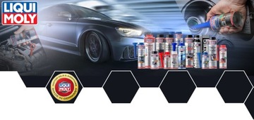 КОМПЛЕКТ ДЛЯ ОЧИСТКИ КАТАЛИТИЧЕСКОГО НЕЙТРАЛИЗАТОРА LIQUI MOLY 2В1