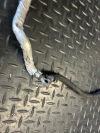 фото thumb №4, Шланг wody audi a8 d4 4.2 tdi cds