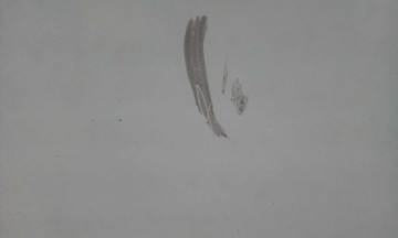 фото thumb №5, Стекло лобовое mercedes e-klasa w213 2016- камеры