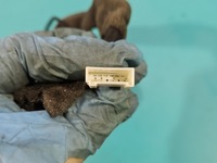 фото thumb №10, Зеркало внутреннее pilot mercedes cls ii c218 10- заднего вида a2048104217