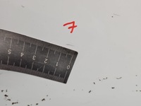 фото thumb №10, Капот передня dodge caravan v 10-20 білий pw7