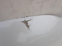 фото thumb №4, Suzuki ignis iii 3 16- капот крышка двигателя