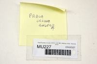 фото thumb №6, Mu227 ford tourneo courier защита правый перед