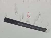 фото thumb №9, Капот передняя fiat doblo i lift 05-10 белый