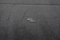 фото thumb №5, Sorento iii плита обшивка пол багажника