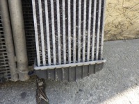 Opel astra 3 3 h 1.7 cdti радиатор вентиляторы комплект woda кондиционер Цена, фото thumb