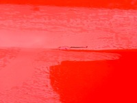 фото thumb №12, Volkswagen vw t-roc 2ga 2017 дверь правое передние перед