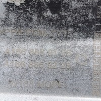 фото thumb №13, Mercedes gle w166 2015 бампер переднее перед a1668859125