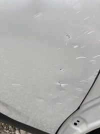 фото thumb №2, Двері правий перед c4 cactus 18- lift efcd