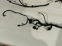 фото thumb №3, Ford ecosport lift електропроводка двері лівий перед