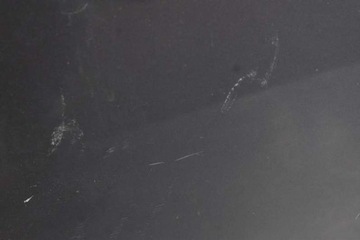 фото thumb №11, Двері праві перед передні nh-737m honda civic 8 viii sedan 07-12