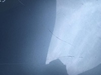 фото thumb №11, Крыло левый перед renault scenic iii 09-16