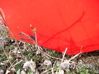 фото thumb №2, Двері ліва renault premium dxi