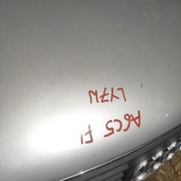 фото thumb №5, Капот решітка радіатора audi a6 c5 fl lift ly7w