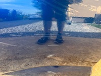 фото thumb №9, Renault megane iv 4 дверь задние задняя правое