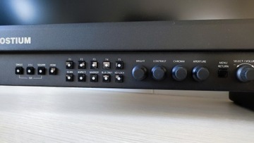 Профессиональный обзорный монитор Postium OBM-U310